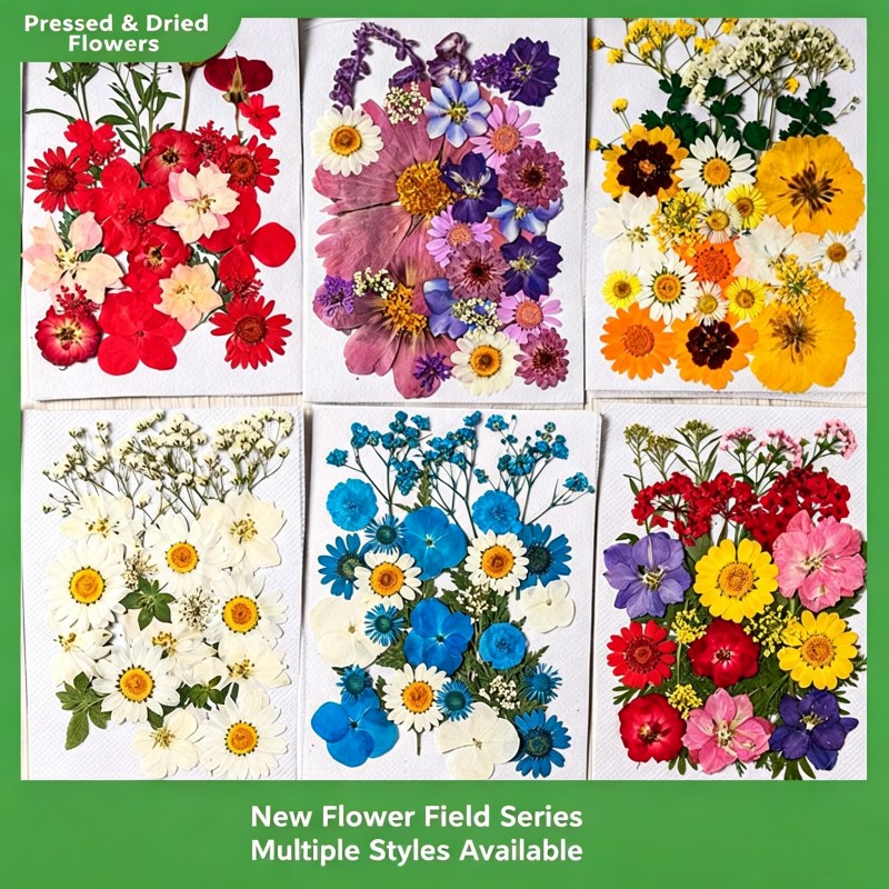 35 stuks gedroogde bloemen en  - Candle Molds recensie en prijs